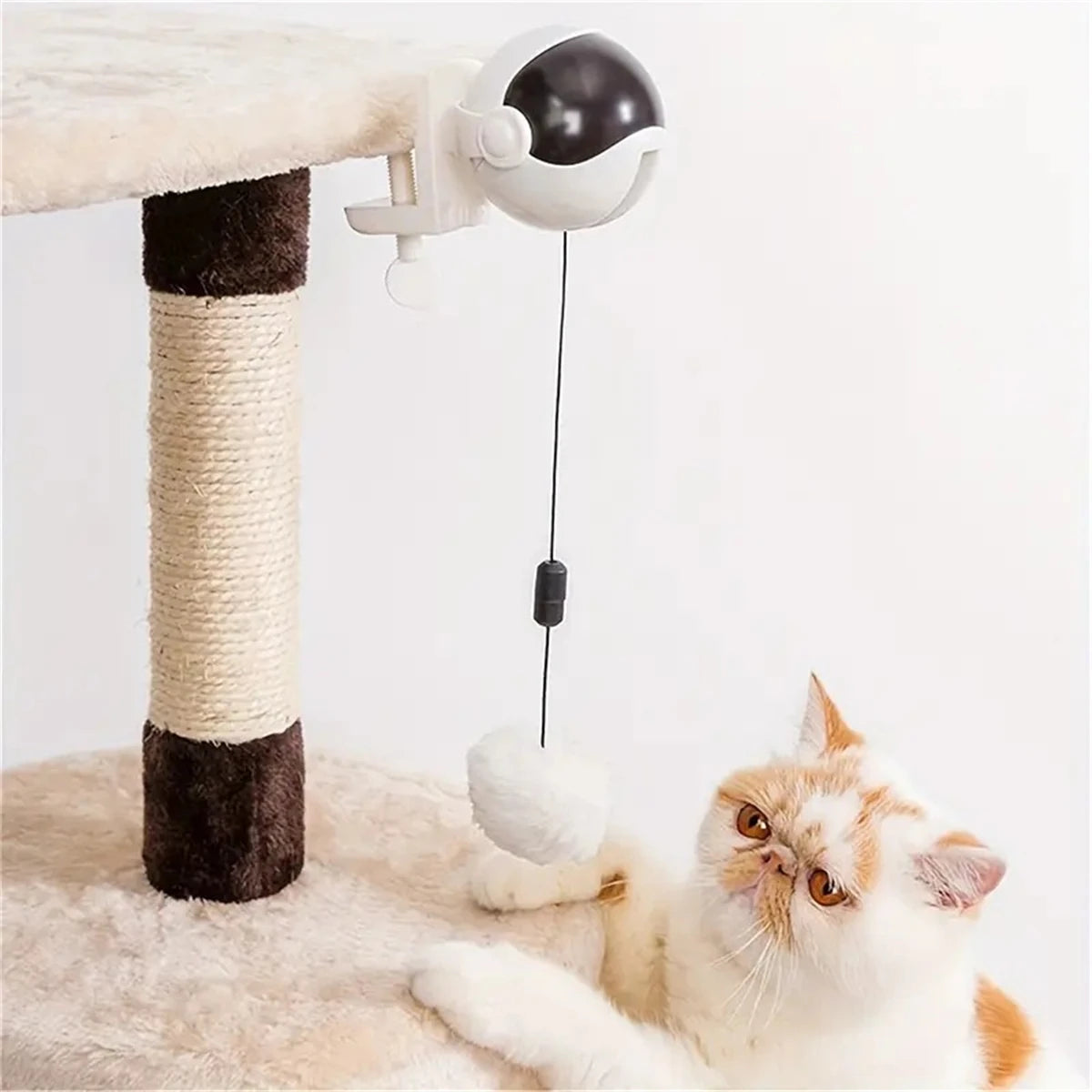 Get Your Cat's Paws in the Game with the 1Pc Lifting Ball Electric Motion Cat Toy – Round and Round They Go!
